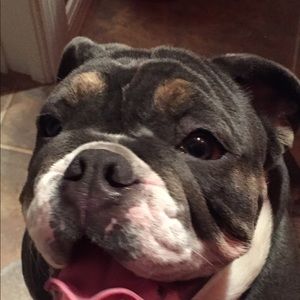 Meet your Posher, April